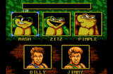 Battletoads & Double Dragon The Ultimate Team (NES gallery 04)