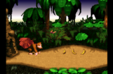 Donkey Kong Country (SNES gallery 02)