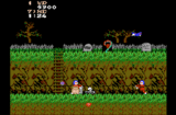 Ghosts 'N Goblins (NES gallery 02)
