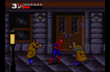 Spider-Man and Venom: Maximum Carnage (SNES gallery 03)