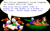 Disney's Duck Tales: The Quest for Gold (gallery 05)