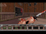 Shadow Warrior (gallery 03)