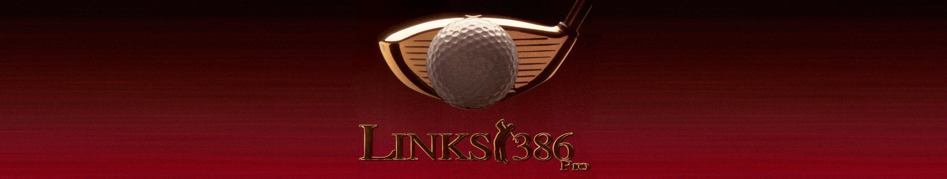 Links 386 Pro (game header)