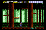 Ninja Gaiden (SMS gallery 02)
