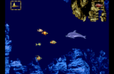 Ecco Jr. (genesis gallery 01)