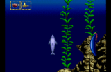 Ecco Jr. (genesis gallery 03)