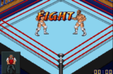 Fire Pro Wrestling 2 (GBA gallery 02)