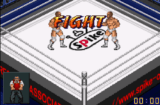 Fire Pro Wrestling (GBA gallery 02)