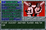 Fire Pro Wrestling (GBA gallery 04)